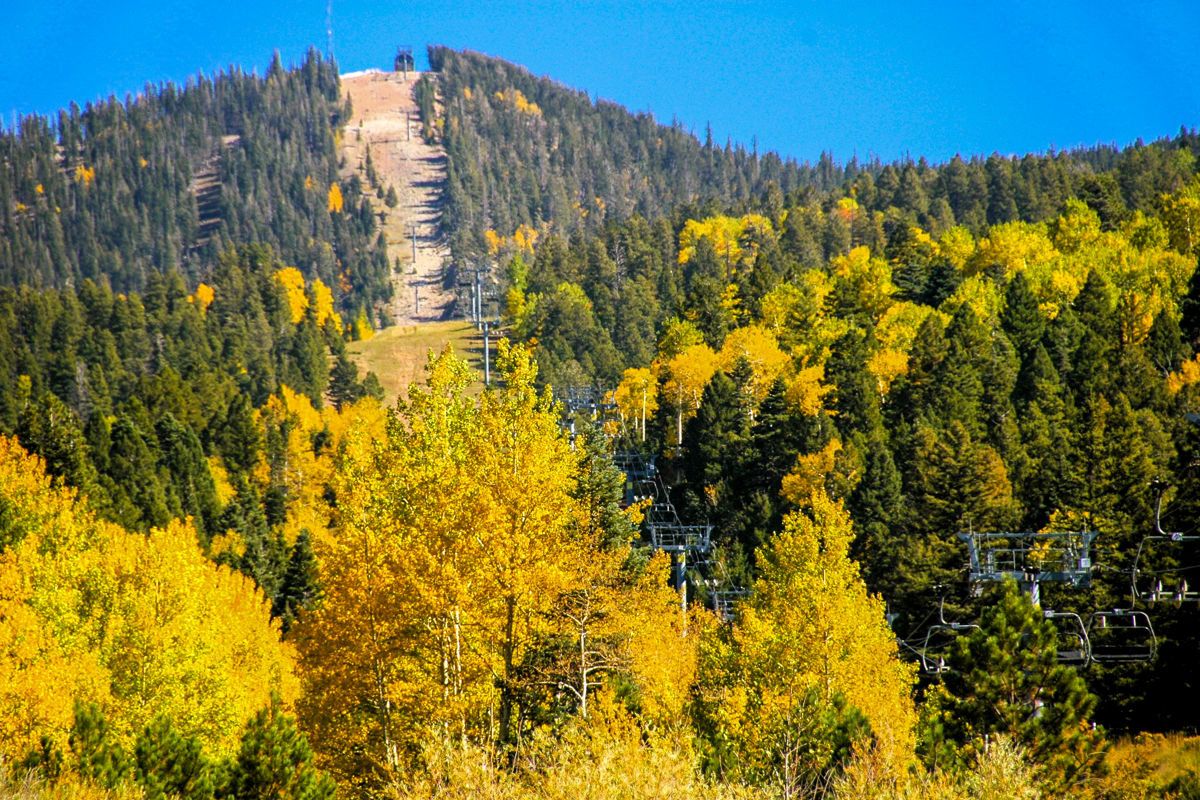 Fall Colors in Northern New Mexico