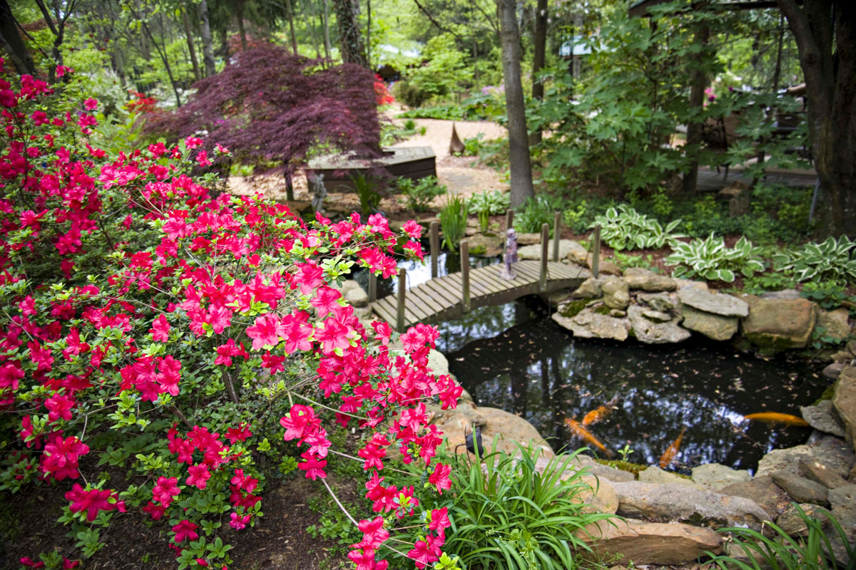 Best Botanical Gardens in the Midwest and South