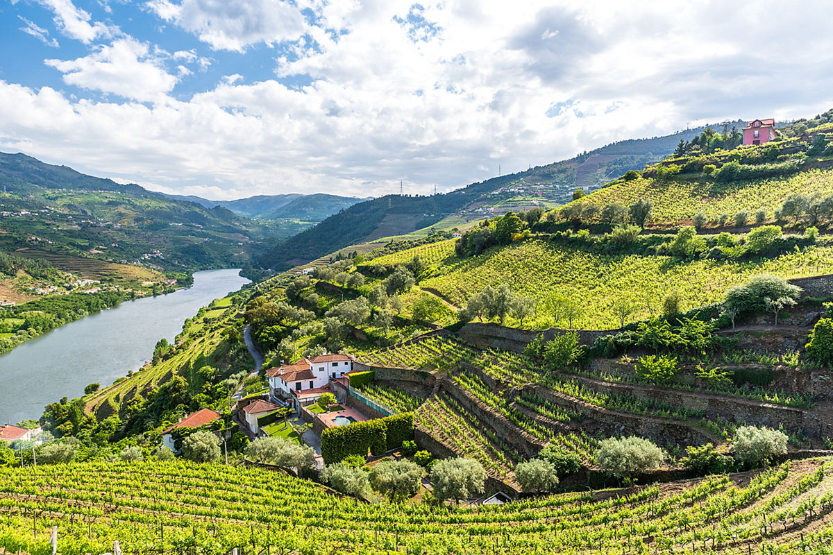 Cruise along the unspoiled Douro River Valley aboard the AmaWaterways ...