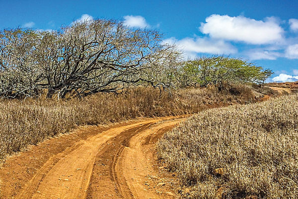 Mokio Preserve dirt road